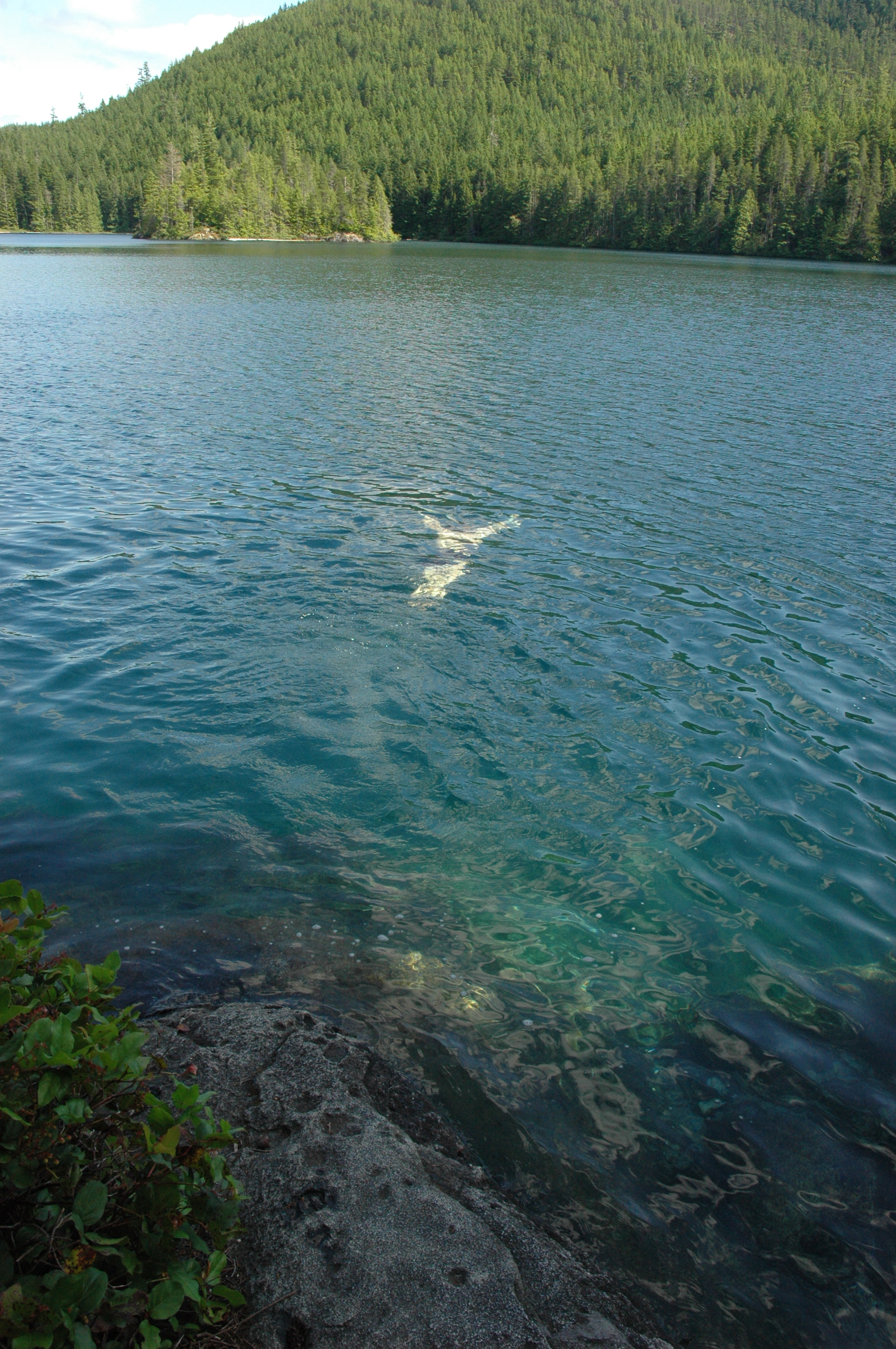 Clear waters of Newton Lake, Quadra Island