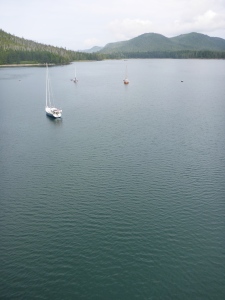 Sea Otter Cove from the mast